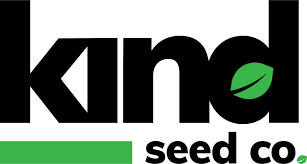Comprehensive Guide to Marijuana Seeds Maryland