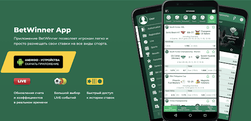 Discover the Exciting World of Live Baji Casino