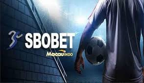 Agen Bola Terpercaya Panduan Menemukan Pilihan Terbaik
