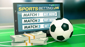 Discover the Excitement of Online Gambling at 1111 Bet44 Discover the Excitement of Online Gambling at 1111 Bet44