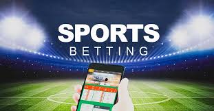 Betwinner vs 1xbet Quelle plateforme de paris choisir Betwinner vs 1xbet Quelle plateforme de paris choisir